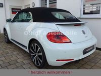 gebraucht VW Beetle 1.4TSI DSG Exclusive Sport Xenon