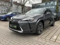 Gebraucht Lexus UX 250h Luxury Line 184 PS (135 kW) 2021 Obsidiangrau SUV