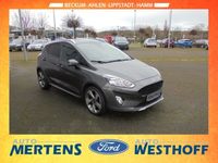 gebraucht Ford Fiesta Active 1.0 PDC Klimaaut. Winter-Paket