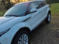 Gebraucht Land Rover Range Rover evoque 150 PS (110 kW) 2016 Weiß SUV