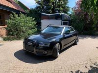 Gebraucht Audi A5 Cabriolet 211 PS (155 kW) 2011 Schwarz Cabrio