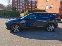 gebraucht Mazda CX-30 AWD, LEDER, BOSE, 360°, SELECTION, HYBRID