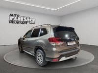 Gebraucht Subaru Forester Comfort 150 PS (110 kW) 2020 Sepia bronze (m) SUV
