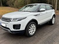 gebraucht Land Rover Range Rover evoque 2L / 4x4 Pure