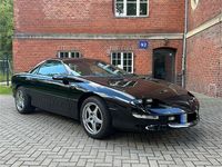 Gebraucht Chevrolet Camaro 279 PS (205 kW) 1994 Schwarz Coupé