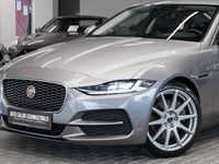 gebraucht Jaguar XE P250 SE|HEAD-UP|LED|ACC|KAMERA|VIRTUAL|2.HAND