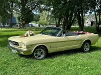Gebraucht Ford Mustang 300 PS (220 kW) 1965 Cabrio