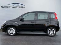 gebraucht Fiat Panda Easy 1.2 DAB PDC Berganfahrass. Klima el.S