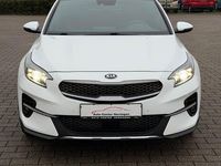 Gebraucht Kia XCeed Xdition 140 PS (102 kW) 2021 Weiß SUV