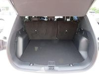 Gebraucht Ford Kuga ST-Line 152 PS (111 kW) 2024 Weiß SUV