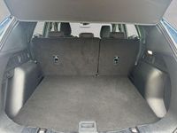 Gebraucht Ford Kuga ST-Line 151 PS (111 kW) 2024 Blau SUV