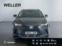 Neu Lexus NX450h+ Executive Line 309 PS (227 kW) 2026 Grau SUV