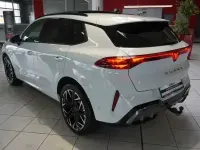 Occasion Cupra Terramar VZ 265 ch (194 kW) 2025 Blanc SUV