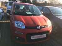 gebraucht Fiat Panda NEW1.2 8V LOUNGE,KLIMA,ALU,SERVO,ABS,EUR5