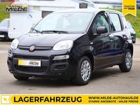 Neu Fiat Panda 69 PS (50 kW) 2025 Schwarz Kleinwagen