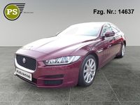 Gebraucht Jaguar XE Pure 179 PS (131 kW) 2016 Rot Limousine