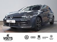 Gebraucht VW Golf VIII Edition 150 PS (110 kW) 2024 Delfingrau metallic Limousine