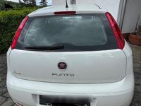 Gebraucht Fiat Punto 78 PS (57 kW) 2017 Weiß Kleinwagen