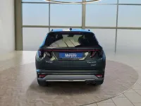Neu Hyundai Tucson 288 PS (211 kW) 2026 Cypress grün SUV