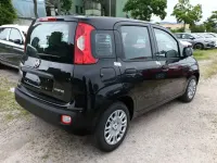 Neu Fiat Panda Icon 65 PS (47 kW) 2026 Schwarz Kleinwagen