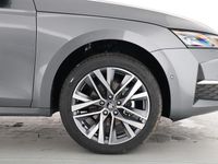 Neu Skoda Octavia 150 PS (110 kW) 2026 Graphitegrau metallic Limousine