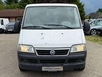 Gebraucht Fiat Ducato Dynamic 110 PS (80 kW) 2005 Weiss Van