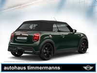 Gebraucht Mini Cooper S Cabriolet Resolute Edition 178 PS (130 kW) 2023 Grün Cabrio