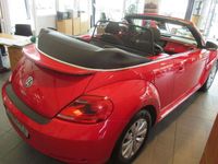 gebraucht VW Beetle Cabriolet Design TSI 77kw 6-Gang