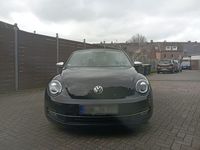 gebraucht VW Beetle New