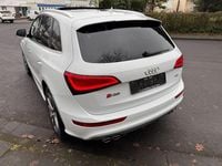 Gebraucht Audi SQ5 Competition 326 PS (239 kW) 2017 Gletscherweiss SUV