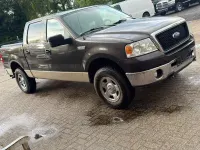 Gebraucht Ford V8 305 PS (224 kW) 2007 Braun Pickup