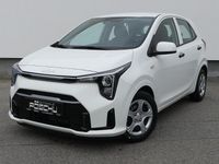 Neu Kia Picanto 68 PS (50 kW) 2025 Weiß Kleinwagen