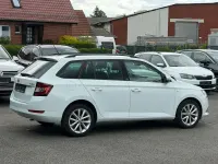 Gebraucht Skoda Fabia Soleil 110 PS (80 kW) 2019 Weiß Kleinwagen
