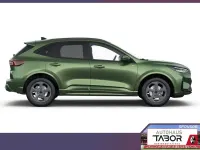 Neu Ford Kuga ST-Line 183 PS (134 kW) 2026 Grün SUV