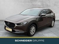 Gebraucht Mazda CX-30 Selection 179 PS (131 kW) 2020 Grau SUV
