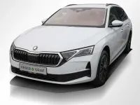 Nowe Skoda Octavia Selection 150 KM (110 kW) 2026 Biały Kombi