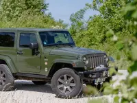 Gebraucht Jeep Wrangler 200 PS (147 kW) 2016 Grün SUV