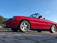 gebraucht Alfa Romeo Spider mit H Zulassung