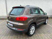 Gebraucht VW Tiguan Style 177 PS (130 kW) 2014 Braun SUV