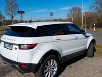 Gebraucht Land Rover Range Rover evoque 150 PS (110 kW) 2016 Weiß SUV