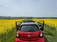 Gebraucht Smart ForFour Passion 90 PS (66 kW) 2015 Rot Kleinwagen