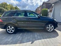 Gebraucht Mercedes ML250 204 PS (150 kW) 2014 Schwarz SUV