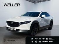 Gebraucht Mazda CX-30 Selection 122 PS (89 kW) 2020 Weiß SUV