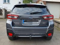 Gebraucht Subaru XV Comfort 114 PS (83 kW) 2023 Grau SUV