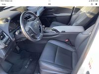 Gebraucht Lexus UX 250h Executive Line 152 PS (111 kW) 2021 SUV