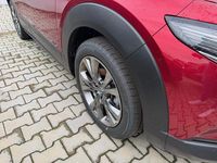 Neu Mazda CX-30 Sky 186 PS (136 kW) 2026 Rot SUV