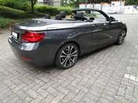 Gebraucht BMW 220 Advantage 184 PS (135 kW) 2019 Grau Cabrio