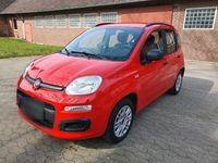 gebraucht Fiat Panda 1,2 1 HAND