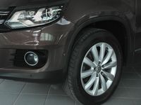 Gebraucht VW Tiguan Life 140 PS (102 kW) 2013 Braun metallic SUV
