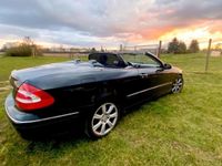 gebraucht Mercedes CLK320 CLK Cabrio 320 Elegance